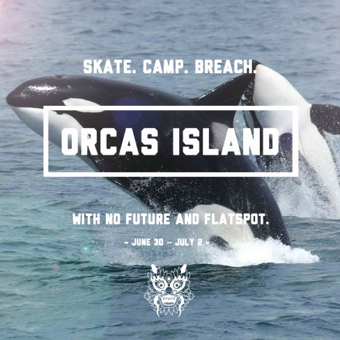 Flatspot No Future Orcas Island Skateboarding 4